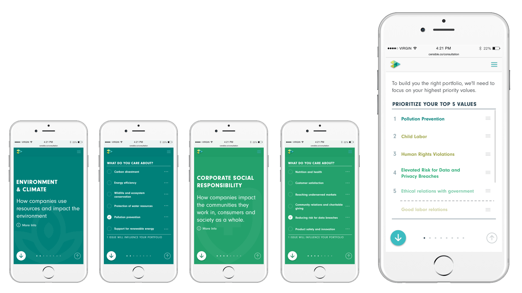 Image of Environmental Social & Governance Client Consultation